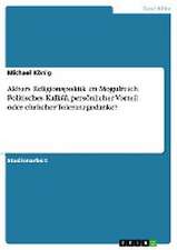 Akbars Religionspolitik im Mogulreich. Politisches Kalkül, persönlicher Vorteil oder ehrlicher Toleranzgedanke?