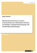 Mitarbeitermotivation in einem Unternehmen des öffentlichen Rechts. Grundlagen, Mitarbeiterbefragung und Handlungsempfehlungen