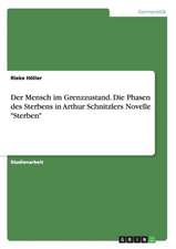 Der Mensch im Grenzzustand. Die Phasen des Sterbens in Arthur Schnitzlers Novelle "Sterben"