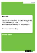 Technische Verfahren und die ökologische Zusammenhänge beim Biomasseheizkraftwerk in Wittgenstein