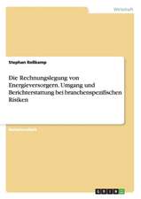 Die Rechnungslegung von Energieversorgern. Umgang und Berichterstattung bei branchenspezifischen Risiken