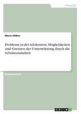 Probleme in der Adoleszenz. Möglichkeiten und Grenzen der Unterstützung durch die Schulsozialarbeit