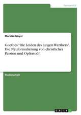 Goethes "Die Leiden des jungen Werthers". Die Neuformulierung von christlicher Passion und Opfertod?