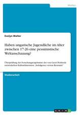 Haben ungarische Jugendliche im Alter zwischen 17-26 eine pessimistische Weltanschauung?