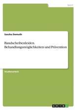 Bandscheibenleiden. Behandlungsmoglichkeiten Und Pravention