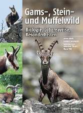 Gams-, Stein- und Muffelwild