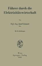 Führer durch die Elektrizitätswirtschaft