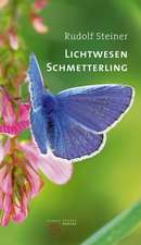 Lichtwesen Schmetterling