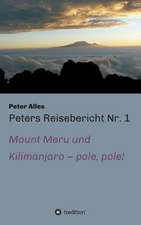 Peters Reisebericht NR. 1: Wie Ich Meine Chronischen Krankheiten, Konflikte Und Krisen Heilte Und Meine Kuhnsten Traume Ubertraf