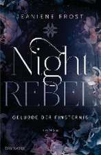 Night Rebel 3 - Gelübde der Finsternis