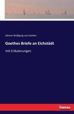 Goethes Briefe an Eichstädt