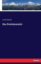 Das Protistenreich