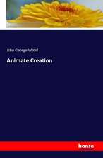 Animate Creation