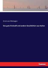 Das gute Krokodil und andere Geschichten aus Italien