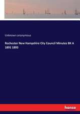 Rochester New Hampshire City Council Minutes BK A 1891 1893