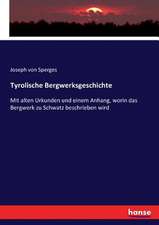 Tyrolische Bergwerksgeschichte