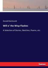 Will o' the Wisp Flashes