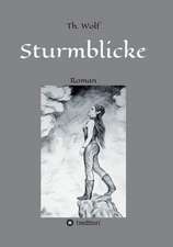 Sturmblicke