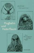 Flugbahn und Federflaum