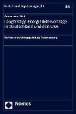 Langfristige Energielieferverträge in Deutschland und den USA