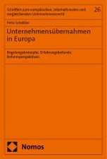 Schüßler, F: Unternehmensübernahmen in Europa