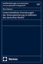 Unterschiedliche Einordnungen der Stromspeicherung im Rahmen des deutschen Rechts