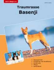 Traumrasse Basenji