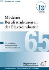 Moderne Berufsstrukturen in der Elektroindustrie