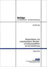 Beobachtbare und unbeobachtbare Betriebs- und Personeneffekte auf die Entlohnung