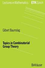 Topics in Combinatorial Group Theory