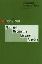 Matrizen, Geometrie, Lineare Algebra