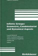 Infinite Groups: Geometric, Combinatorial and Dynamical Aspects