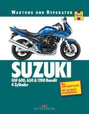 Suzuki GSF 600, 650 und 1200 Bandit 4 Zylinder