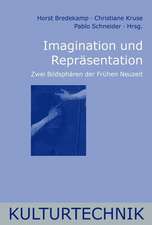 Imagination und Repräsentation