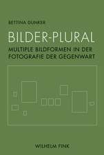 Bilder-Plural