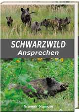 Schwarzwild Ansprechen