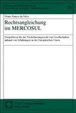 Rechtsangleichung im MERCOSUL