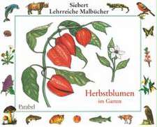 Herbstblumen