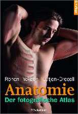 Anatomie