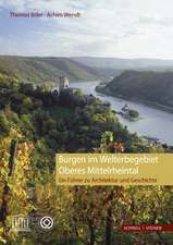 Burgen Im Welterbegebiet Oberes Mittelrheintal: Ein Fuhrer Zu Architektur Und Geschichte