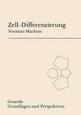 Zell-Differenzierung