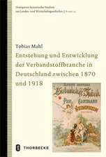 Entstehung Und Entwicklung Der Verbandstoffbranche in Deutschland Zwischen 1870 Und 1918: Wirtschafts- Und Sozialgeschichte Der Spiegelfabrik Spiegelberg (Wurtt.). Ein Regiebetrieb Des Herzoglichen Kirchenrat