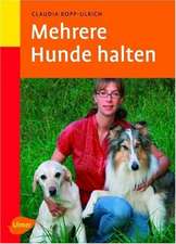 Mehrere Hunde halten