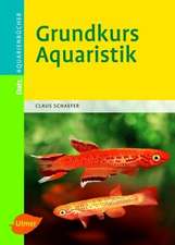 Grundkurs Aquaristik