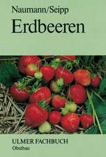 Erdbeeren