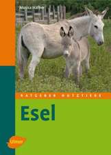 Esel