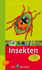 Steinbachs Naturführer Insekten