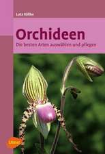 Orchideen