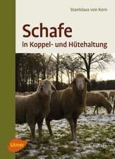 Schafe in Koppel- und Hütehaltung