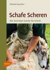 Schafe scheren